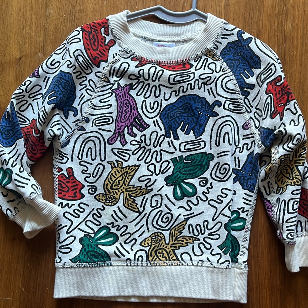 Hanna Andersson Sweatshirt 2T